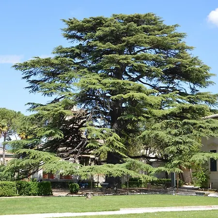 Bed & Breakfast Redenta 3*