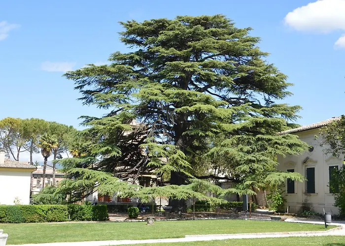 Nocleg ze śniadaniem Redenta 3*